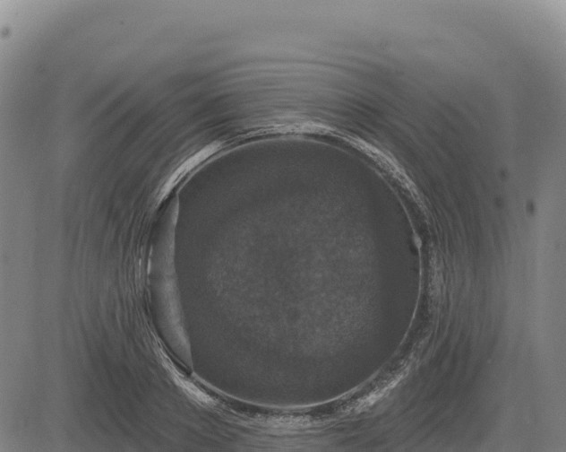 X0000083650889200702201431