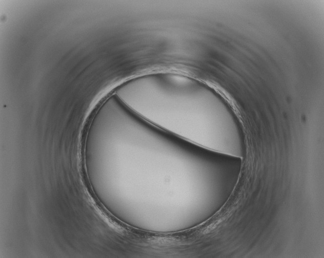 X0000083650894200702201431