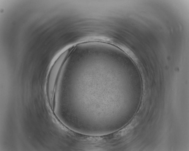 X0000083650912200702201431