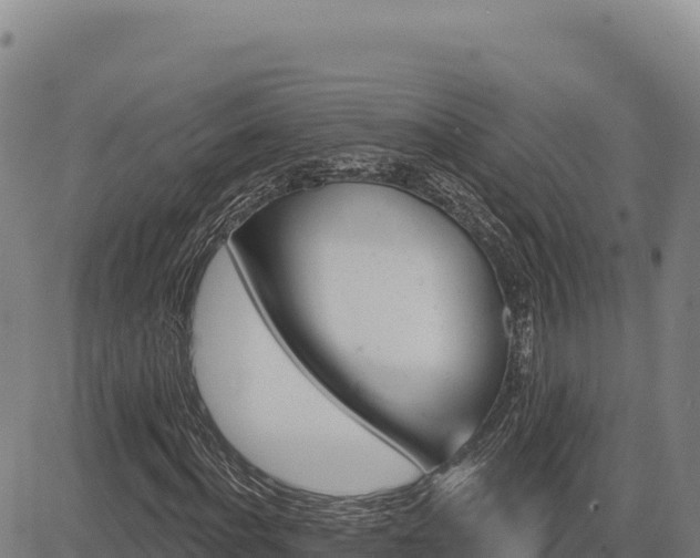 X0000083650916200702201430