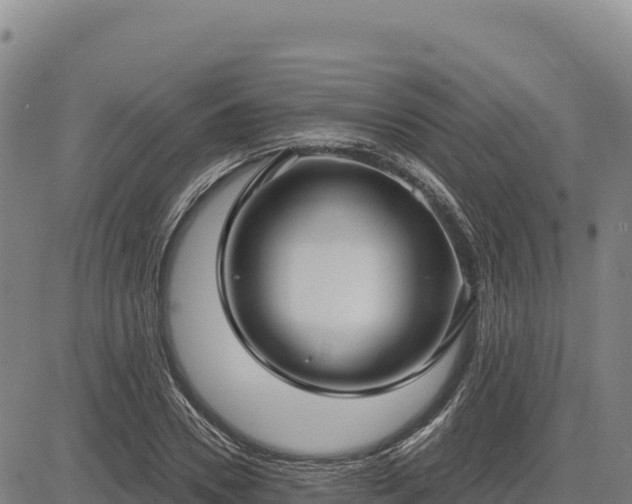 X0000083650930200702201430