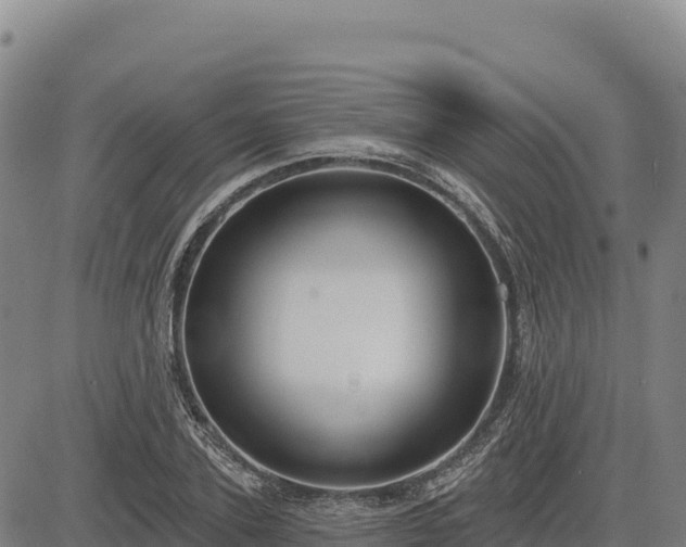 X0000083650931200702201430