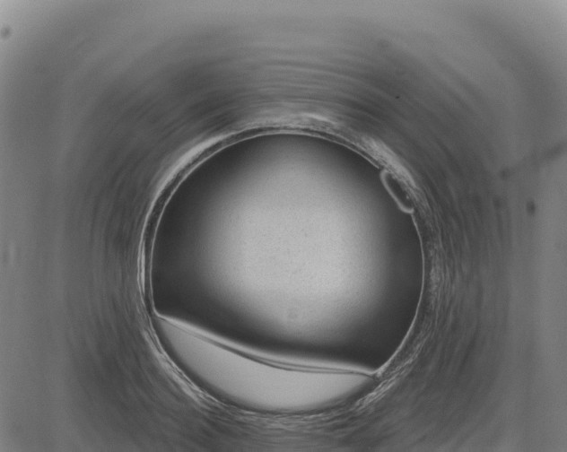 X0000083650940200702201430