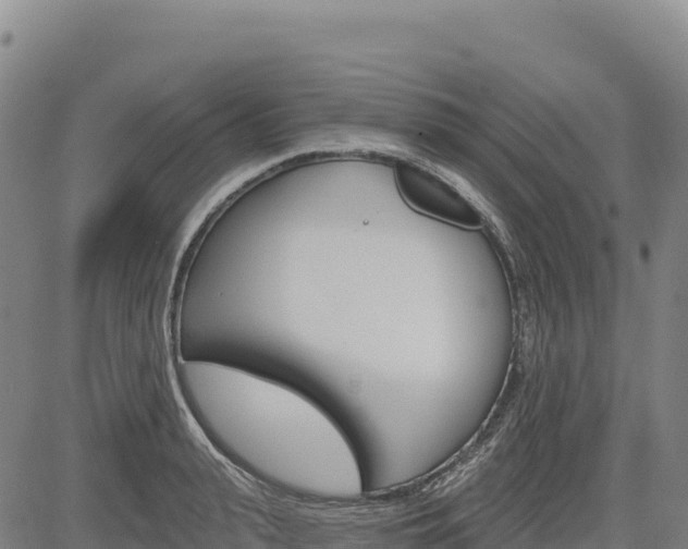X0000083650943200702201430