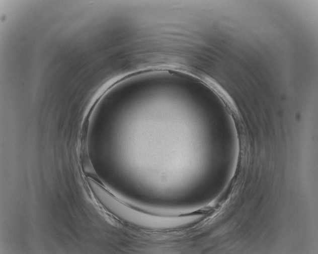 X0000083650956200702201431