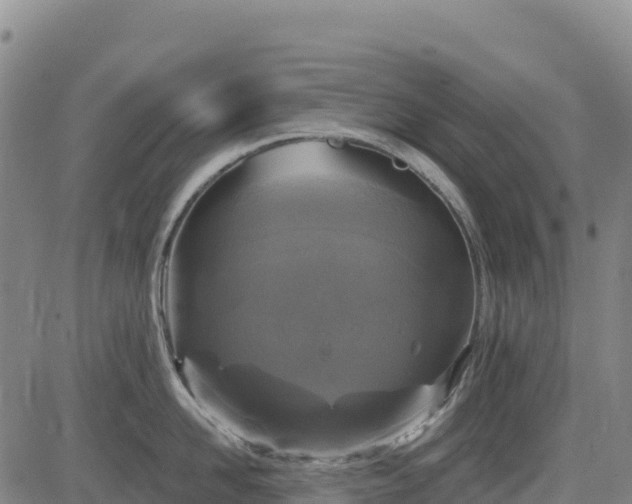 X0000083650958200702201431