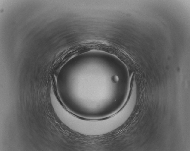 X0000083650965200702201430