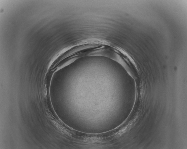 X0000083650973200702201430