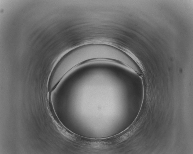 X0000083650988200702201429
