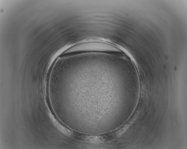 X0000083651003200702201429
