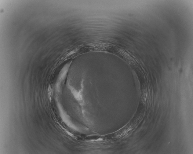 X0000083651010200702201428