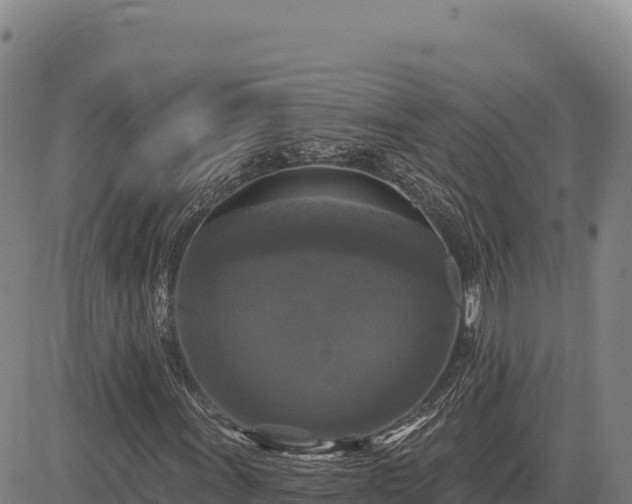 X0000083651011200702201428