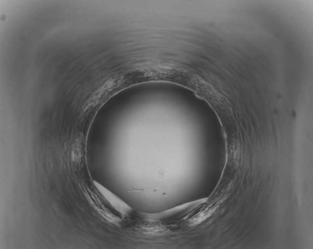 X0000083651012200702201428