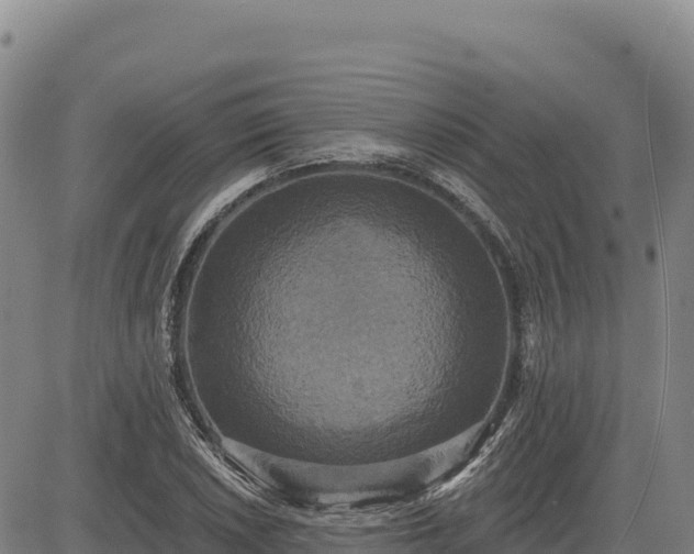 X0000083651026200702201429