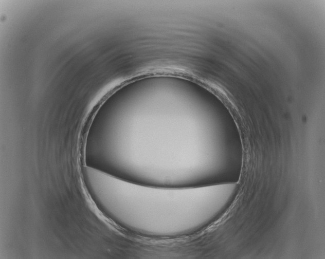 X0000083651038200702201429