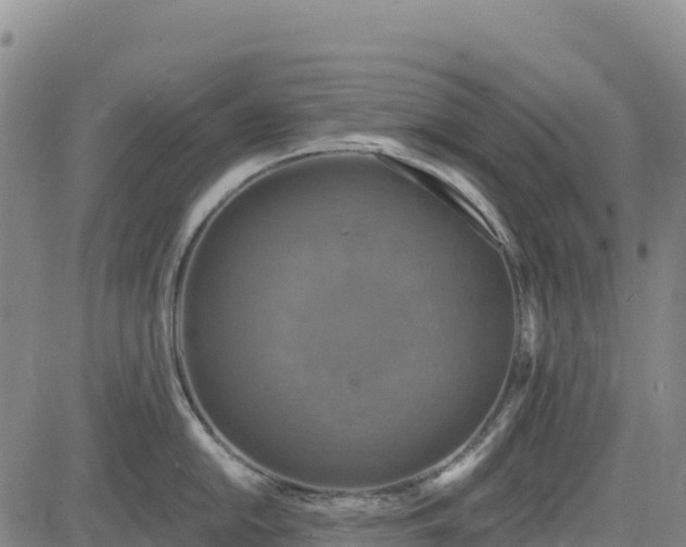 X0000083651054200702201429