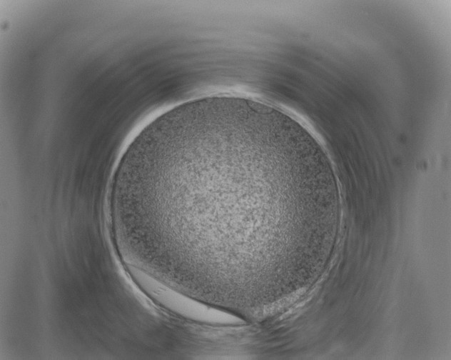 X0000083651056200702201429
