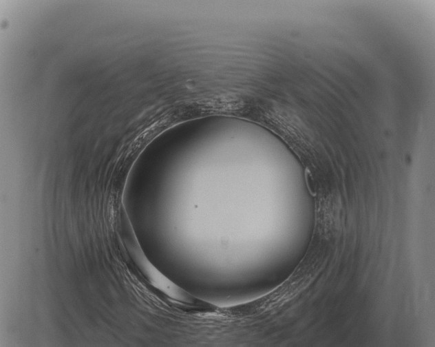 X0000083651058200702201428