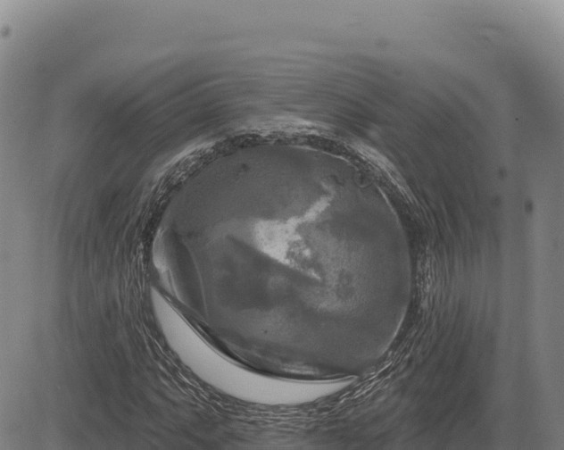 X0000083651063200702201428