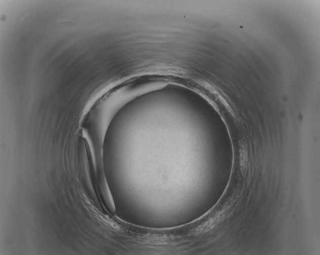 X0000083651069200702201428