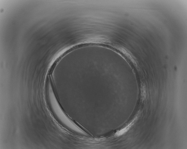 X0000083651077200702201428