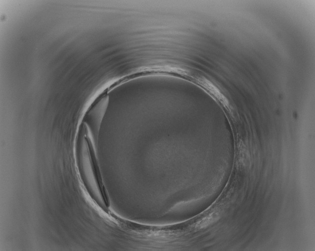 X0000083651084200702201428