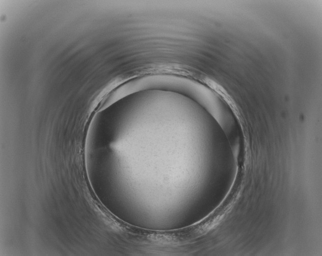 X0000083651089200702201428