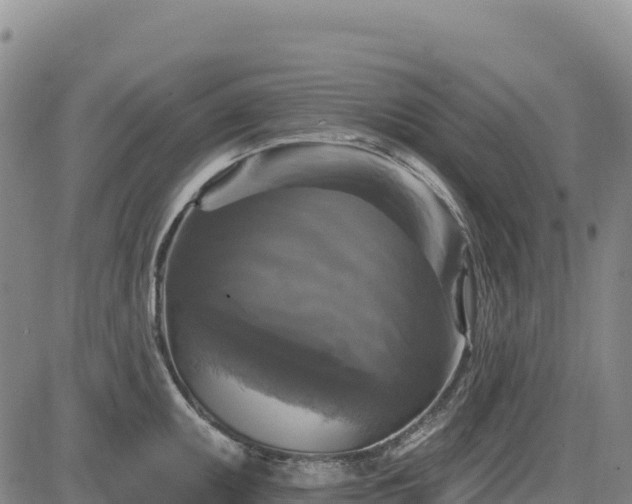 X0000083651095200702201428