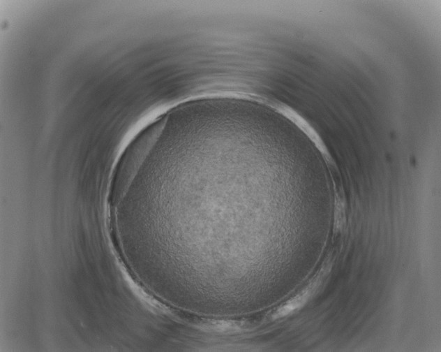 X0000083651101200702201427