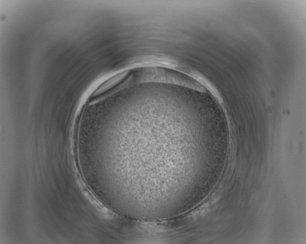 X0000083651104200702201427
