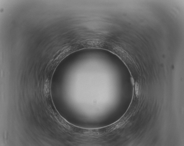 X0000083651107200702201427