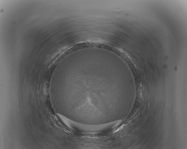 X0000083651110200702201427