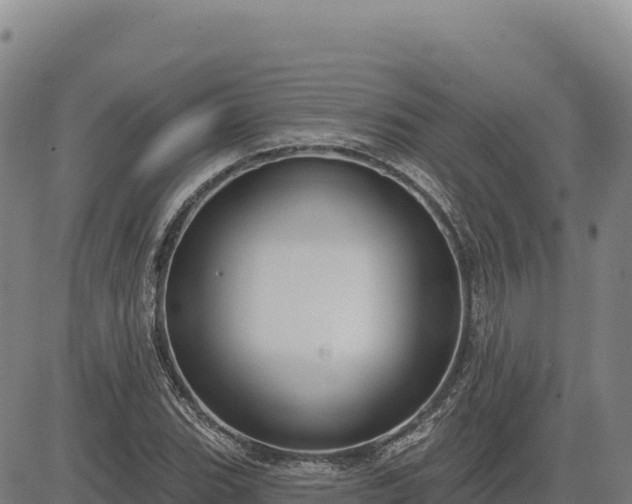 X0000083651119200702201427