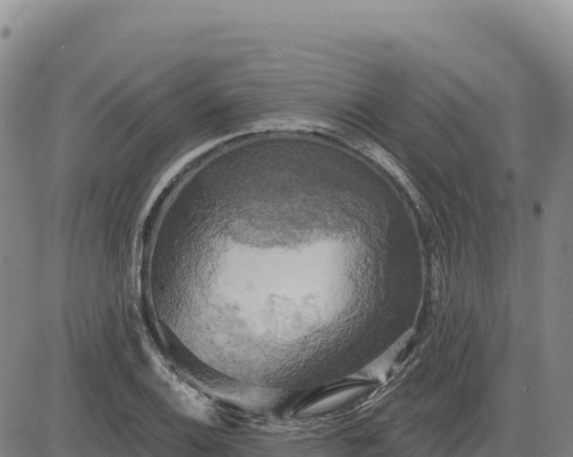 X0000083651124200702201427