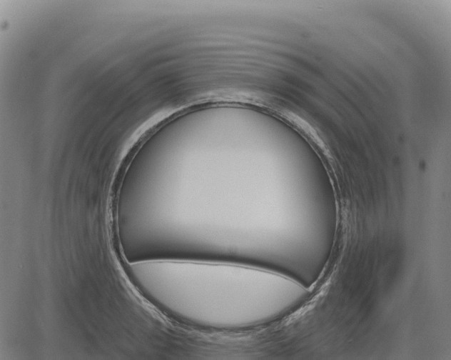 X0000083651133200702201427