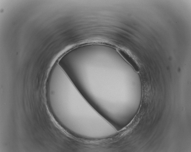 X0000083651134200702201427