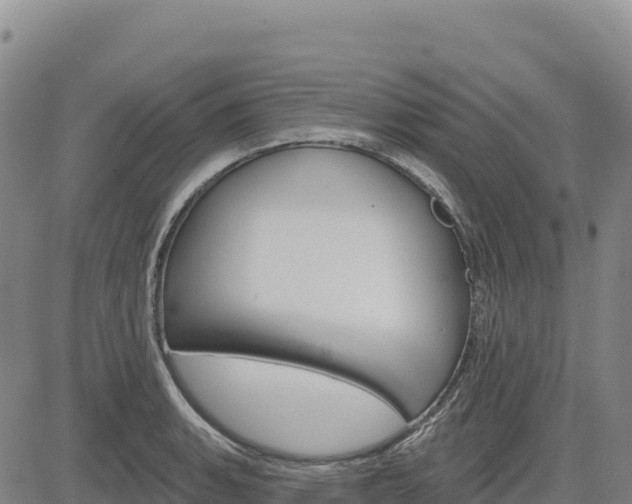 X0000083651135200702201427