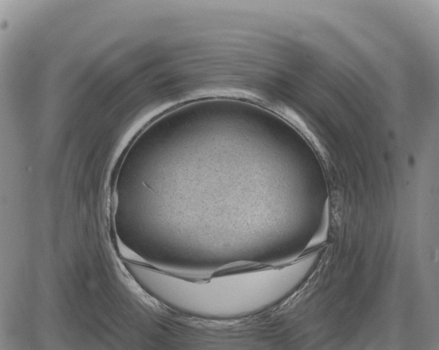 X0000083651140200702201427