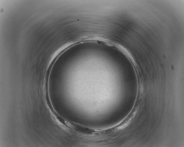X0000083651149200702201427