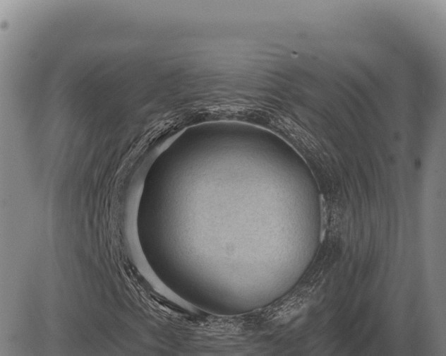 X0000083651153200702201427