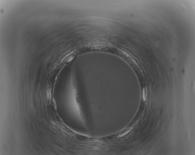 X0000083651155200702201427
