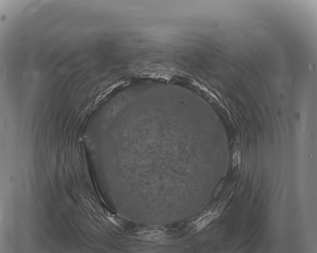 X0000083651156200702201427