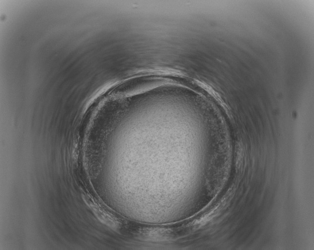 X0000083651163200702201426