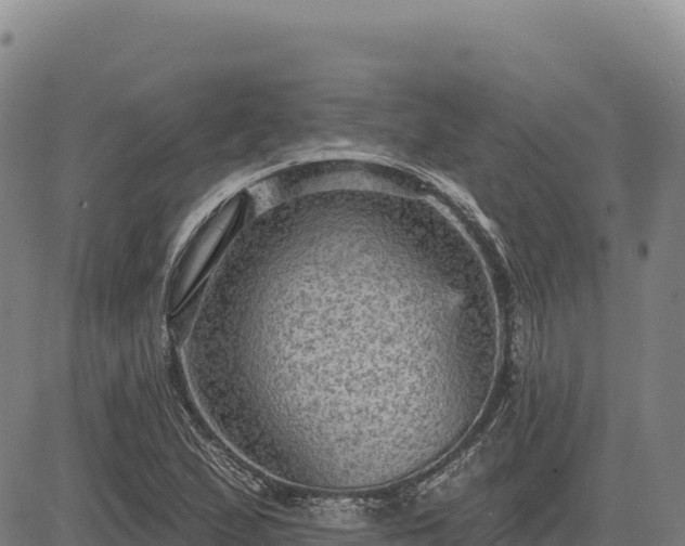 X0000083651167200702201426