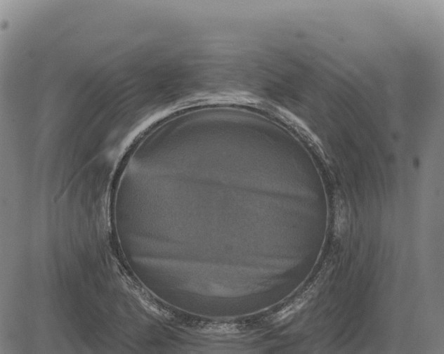 X0000083651174200702201426