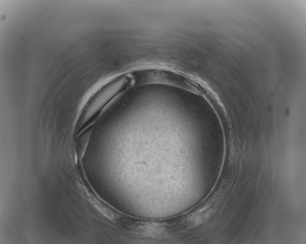 X0000083651175200702201426