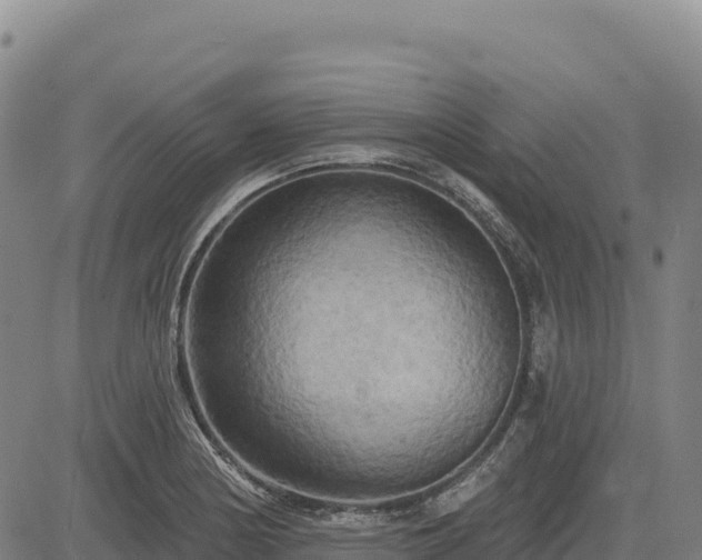 X0000083651178200702201426