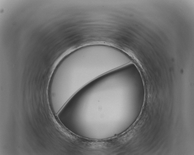 X0000083651181200702201426