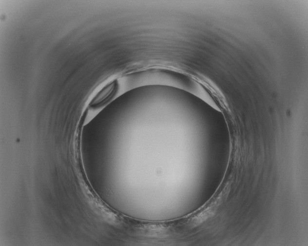 X0000083651190200702201426