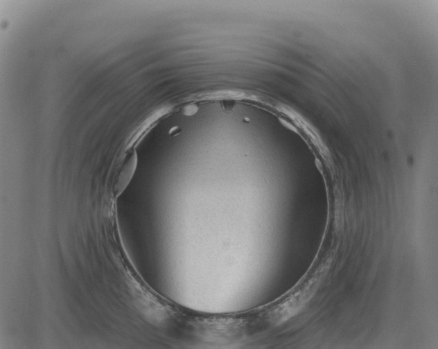 X0000083651193200702201426